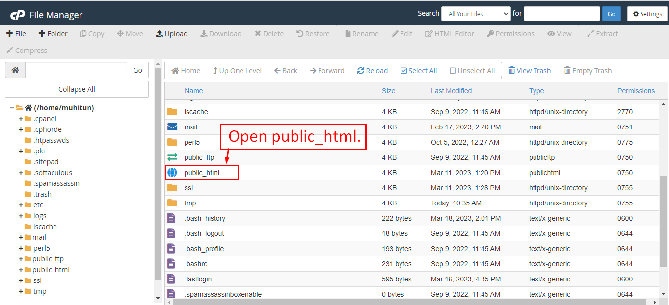 Public Html